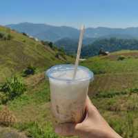 ภูวินคาเฟ่ คาเฟ่บนดอยม่อนแจ่ม