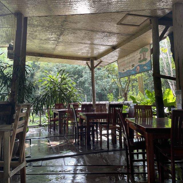 🏝️☕️ดื่มกาแฟ ดูน้ำตกสวย🌳💦