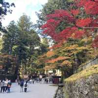 【日光】紅葉の綺麗な日光輪王寺大護摩堂