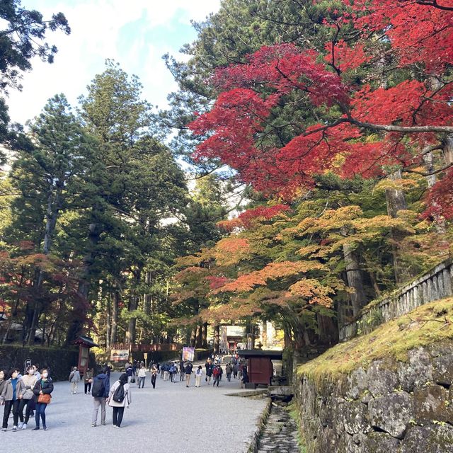 【日光】紅葉の綺麗な日光輪王寺大護摩堂