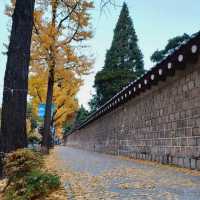 Autumn by the stone walls of Gyeongbukgung