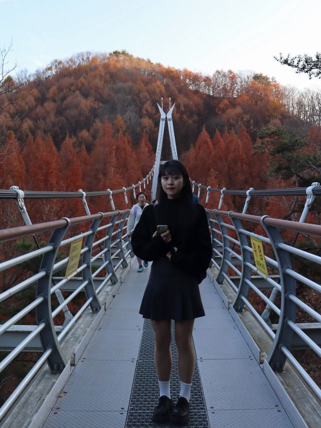단풍 막차타러 다녀온 대전 장태산 