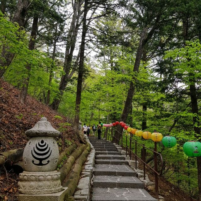 오대산 비로봉 등산