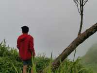 ผาหัวสิงห์ ภูทับเบิก