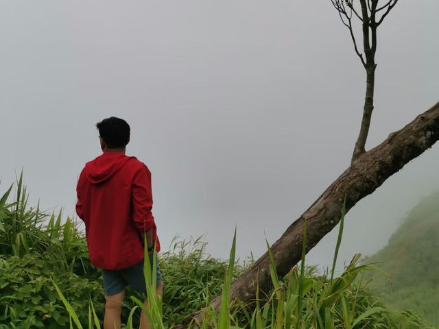ผาหัวสิงห์ ภูทับเบิก