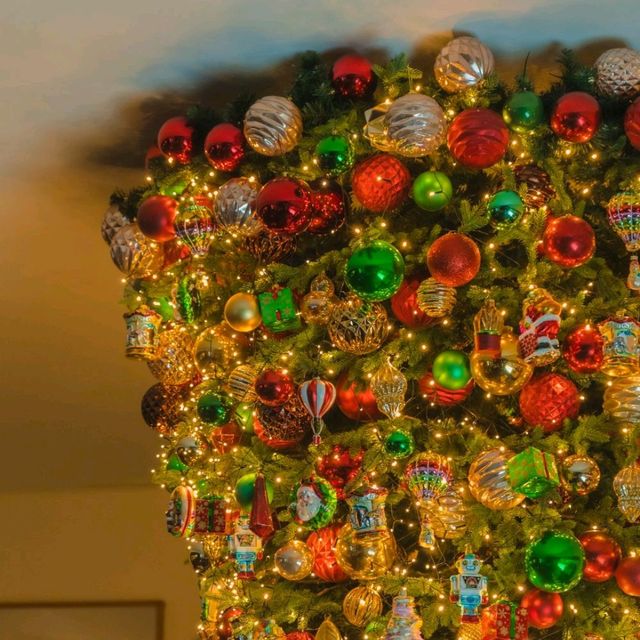 🎄이색적인 거꾸로 트리가 예쁜 연말에가기좋은 카페 [제주, 마마롱]