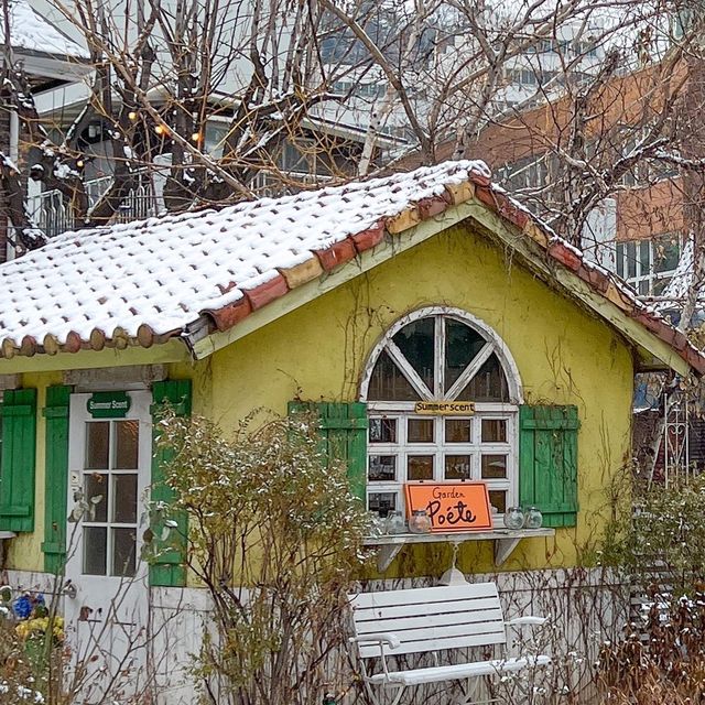 크리스마스 트리 찐맛집 발견🎄♥️