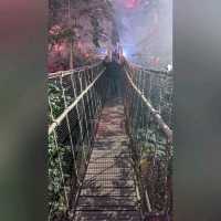 化腐朽為神奇～Eden Project @Cornwall