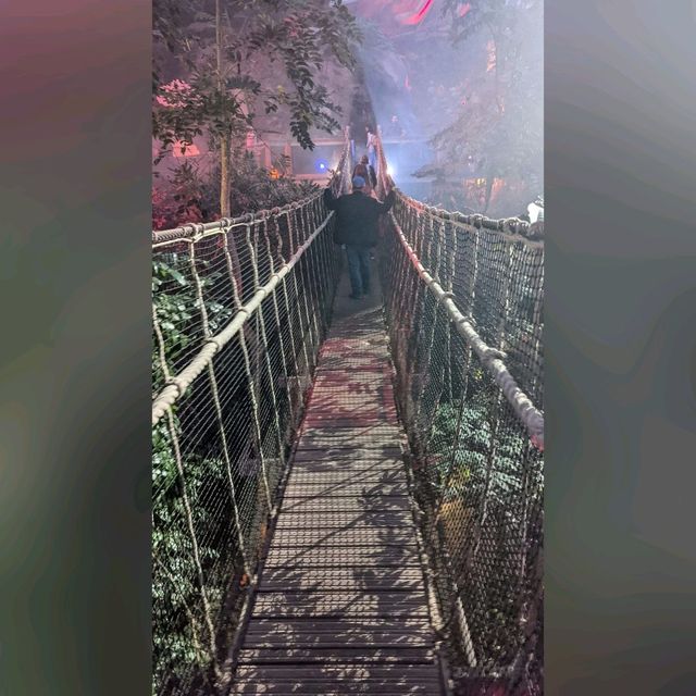 化腐朽為神奇～Eden Project @Cornwall