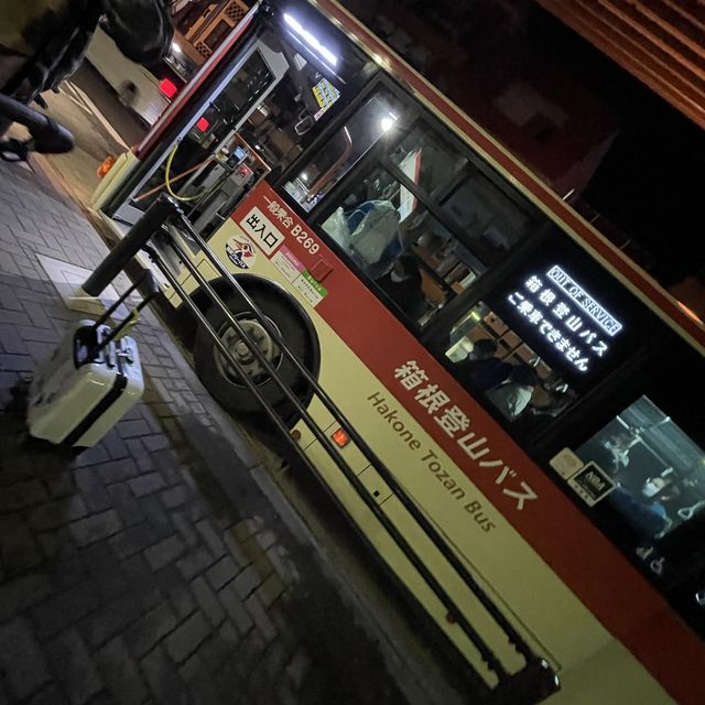 東京箱根親子一日團♨️同小朋友坐海賊船⛵️空中纜車、品嘗黑色溫泉蛋、機動遊戲遊樂場