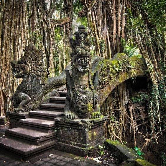 Monkey Forest, Bali