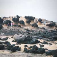 奇岩美石探索之遊記載🪨野柳地質公園