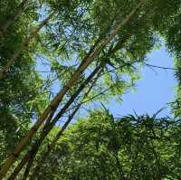 荔枝角公園