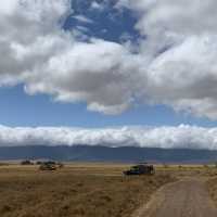 Wildlifes at their best, Ngorongoro