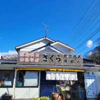 【伊豆】地魚料理　さくら