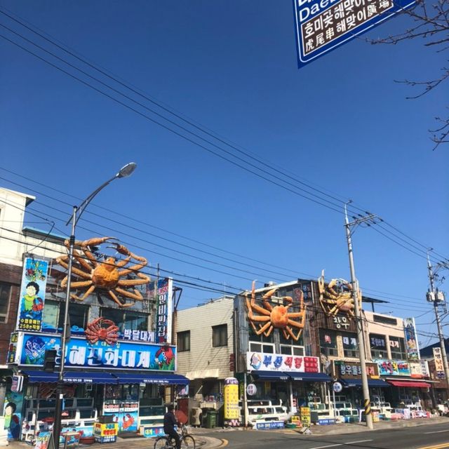 동백꽃 필 무렵의 그곳