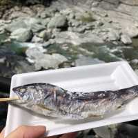 徳島県の秘境にある『琵琶の滝』