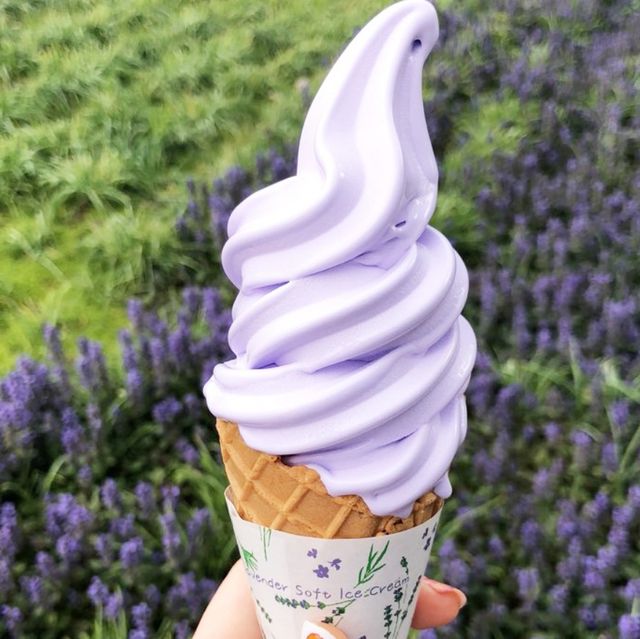 삿포로 아오이이케(청의호수)와 흰수염폭포