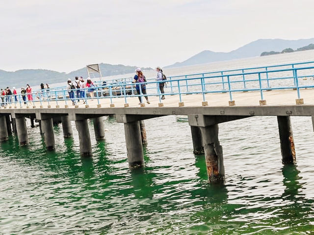 大利島