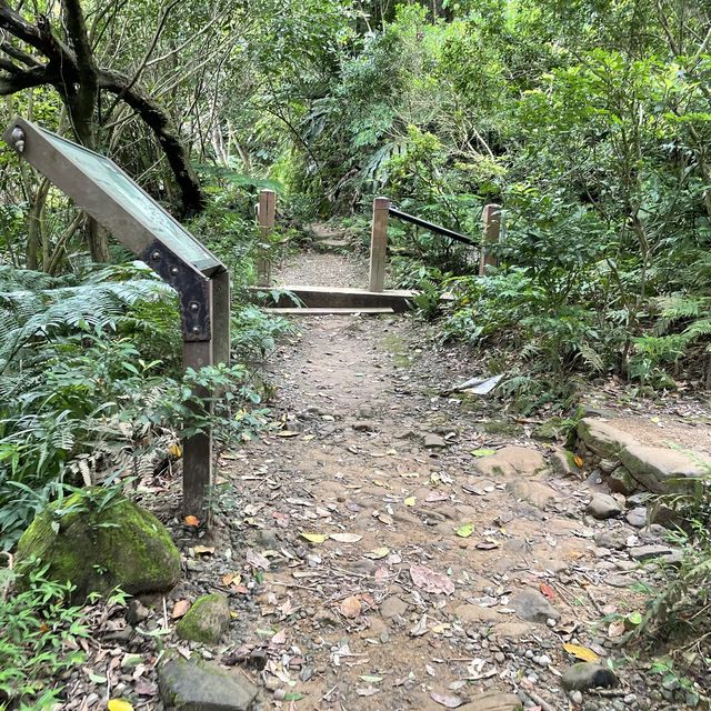 位於台北市區的仙境步道 富陽生態公園