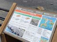 マグマが作った不思議な景観「橋杭岩」
