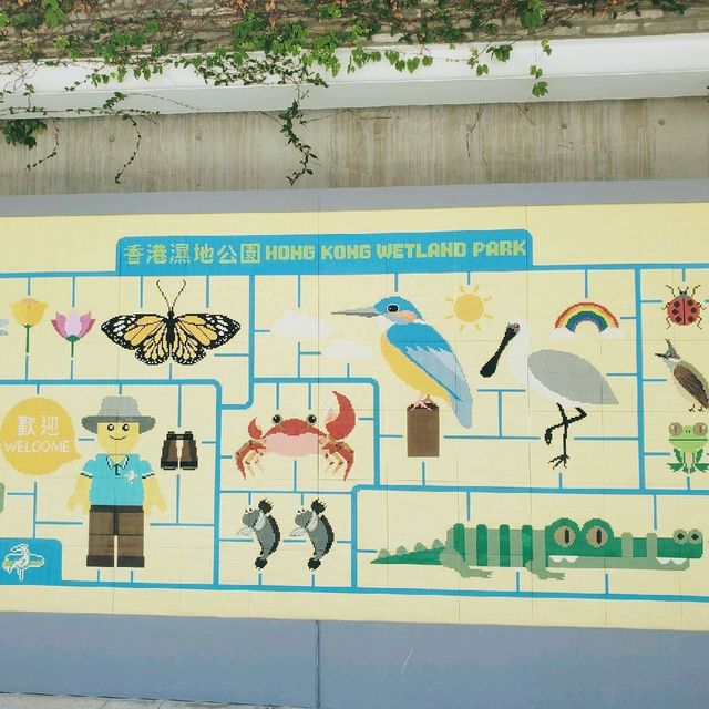 生態之旅 - 香港濕地公園