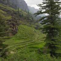 Manali Kullu Himachal Pradesh 