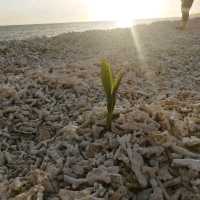 Mantanani Island the paradise 
