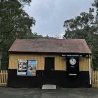 Puffing Billy Railway 