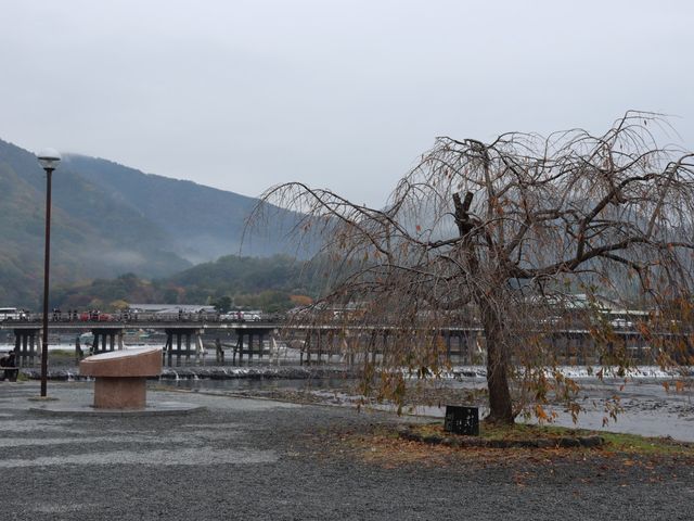 【京都】カラフルな紅葉！秋の嵐山をご紹介