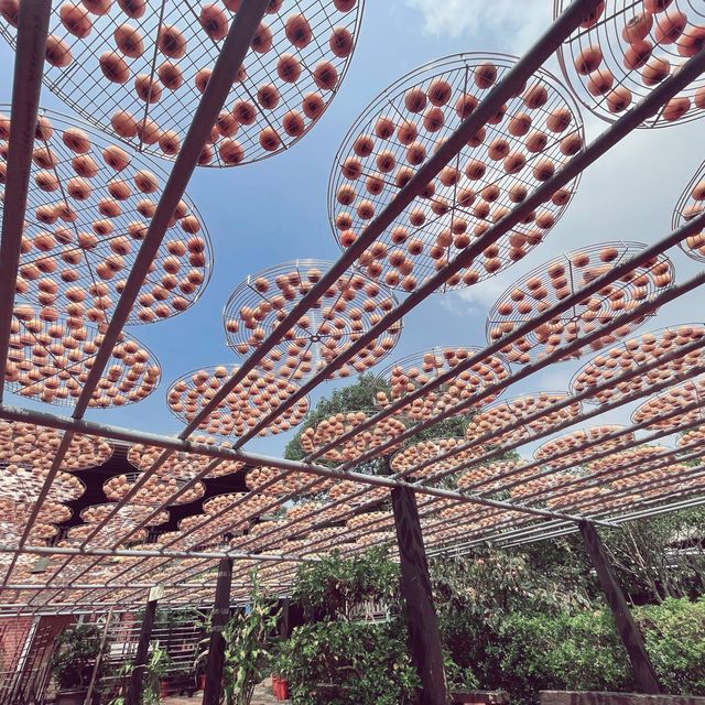 新埔金漢柿餅觀光園區