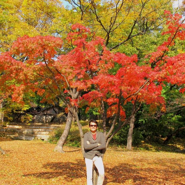 Autumn @Gyeongbokgung Palace 