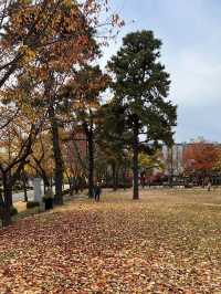 Autumn View of Samsung Library