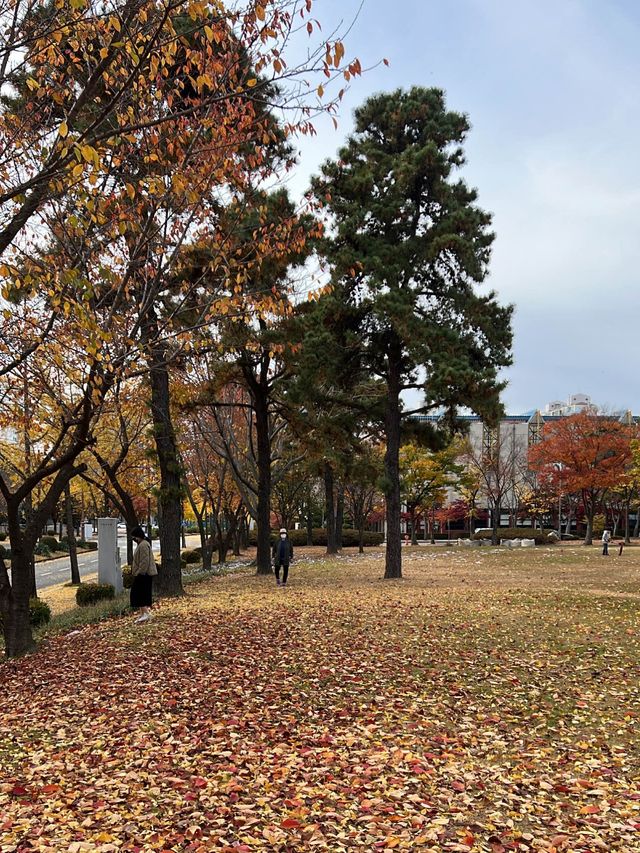 Autumn View of Samsung Library