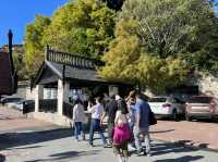 南投爬山去｜合歡山北峰、東峰，我登頂了