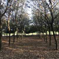 SinghaPark  .. ChiangRai 🌱🌿