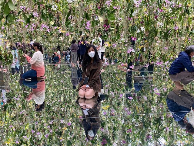 Magical Floating Orchids