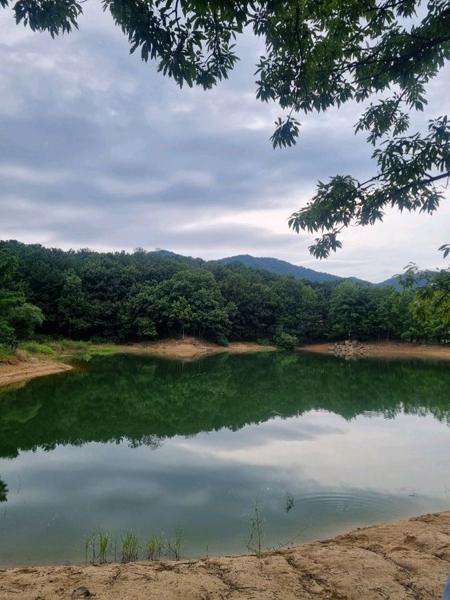 자연 그대로를 담은 대전, 대청호