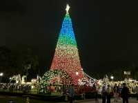 Christmas Attraction #11: The Biggest Outdoor Christmas Tree