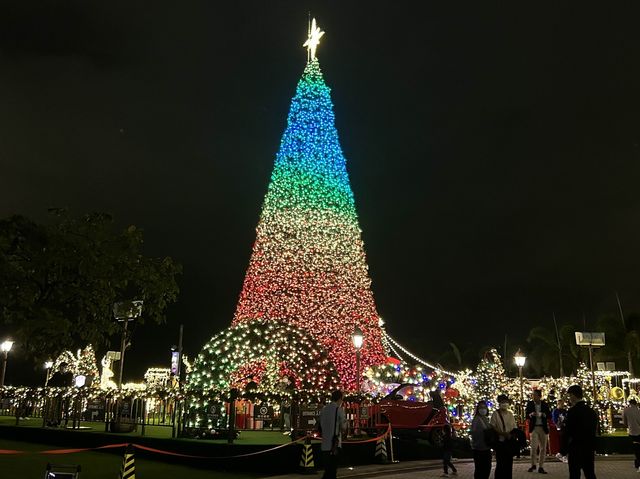 Christmas Attraction #11: The Biggest Outdoor Christmas Tree
