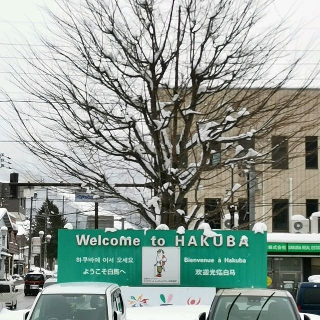 Snowy Christmas in Hakuba
