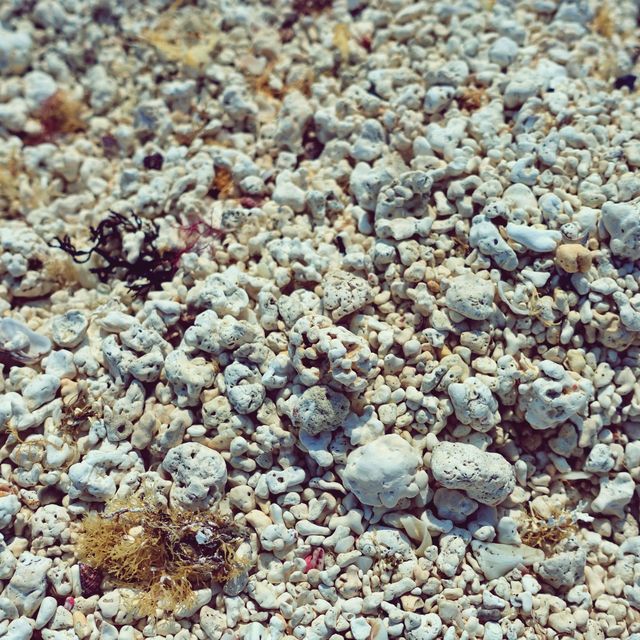 🏖 모래가 아닌 산호로 빛나는 해변, 우도 서빈백사해수욕장