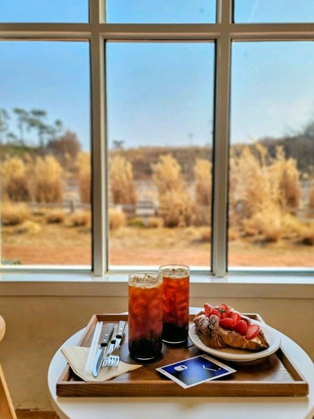 억새뷰가 아름다운 전남 화순카페, 카페아더맨☕️