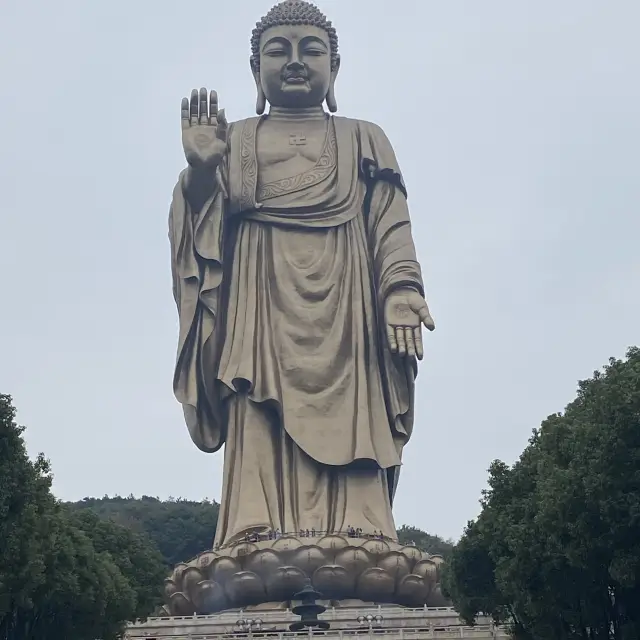 Wuxi Wonders