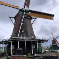 荷蘭🇳🇱