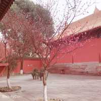 Confucious Temple in Ancient city Langzhong