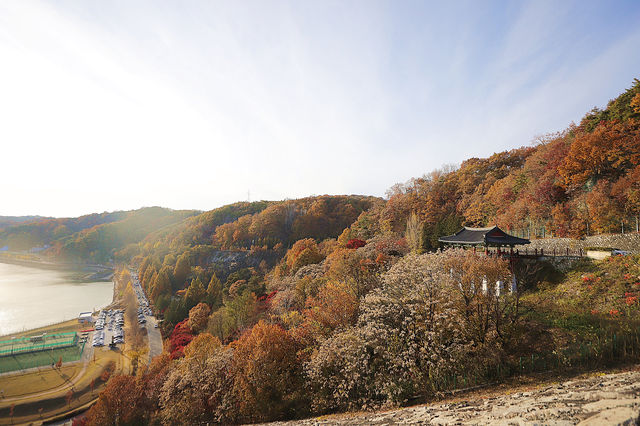안동 낙강물길공원 안동댐까지 걸어가기