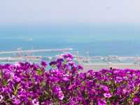 A Colorful Seaside City - Haifa