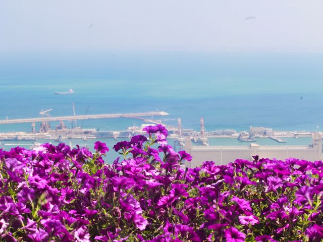 A Colorful Seaside City - Haifa
