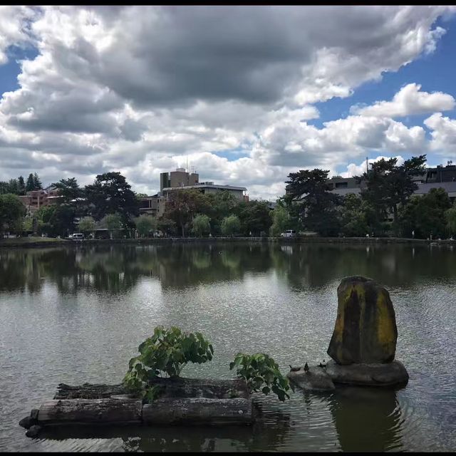 Strolling Around Nara - Japan 